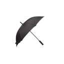 Umbrella Typhoon