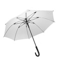 Rpet Umbrella Cubratus