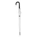 Rpet Umbrella Cubratus