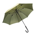 Rpet Umbrella Cubratus