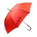 Rpet Umbrella Cubratus