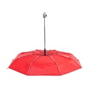 Umbrella Cirros