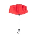 Umbrella Cirros