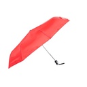 Umbrella Cirros