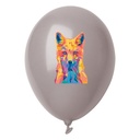 Balloon, Pastel Colour CreaBalloon Pastel