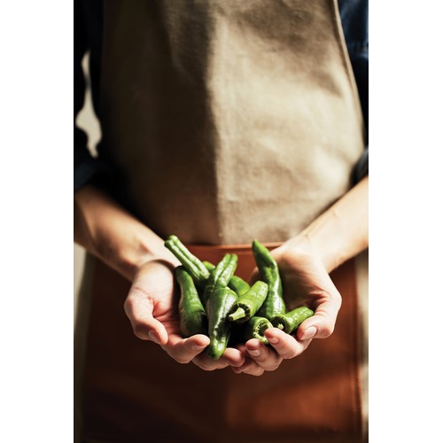 VINGA Asado Apron