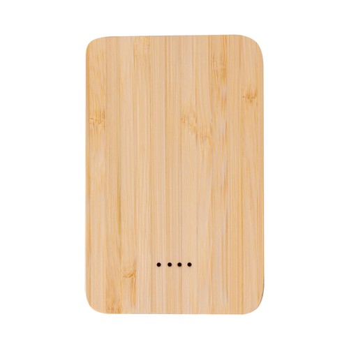 Power bank Newin