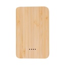 Power bank Newin
