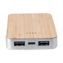Power bank Newin