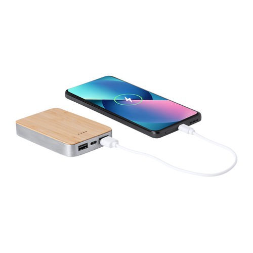 Power bank Newin