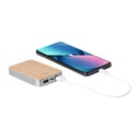 Power bank Newin