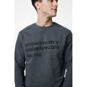 Iqoniq Denali recycled cotton crew neck undyed