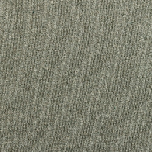 Iqoniq Denali recycled cotton crew neck undyed
