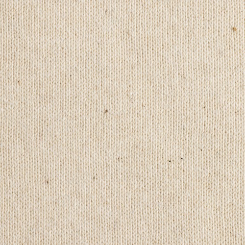 Iqoniq Denali recycled cotton crew neck undyed