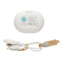RCS standard recycled plastic TWS earbuds