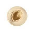 Straw Hat Coastra