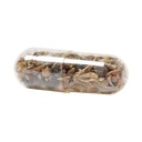 Flower Seed Capsule Flocca