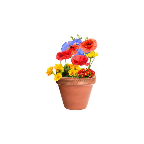 Flower Seed Capsule Flocca