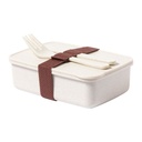 Lunch Box Adobo