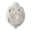 Piggy Bank Poggi