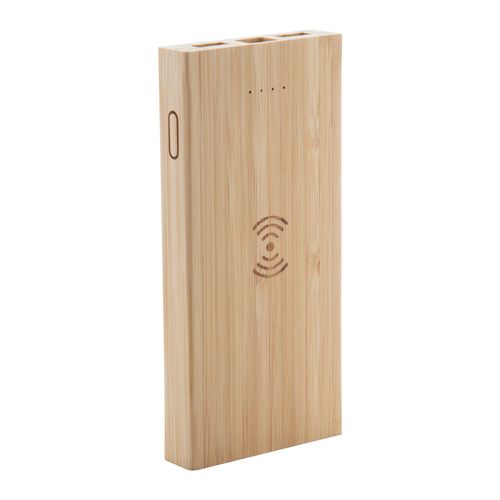 Power Bank Wooster