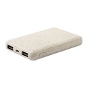 Power Bank Durum