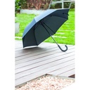 Umbrella Mousson