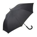 Umbrella Mousson