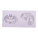 Custom Colouring Booklet, Animals ColoBook