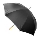 Rpet Umbrella Asperit