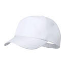 Rpet Baseball Cap Maddux