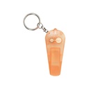 Whistle Coach