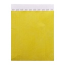 Tyvek Wristbands (10 Pcs) Wristvek
