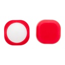 Lip Balm Cuboris