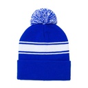 Winter Hat Frosty