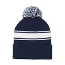 Winter Hat Frosty