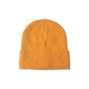 Winter Hat Banie