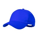 Baseball Cap Gibson