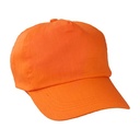 Baseball Cap Reggie