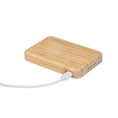 Transparent power bank SeeBank