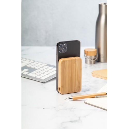 Transparent power bank SeeBank