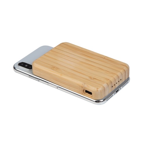 Transparent power bank SeeBank