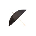 Rpet umbrella Takeboo