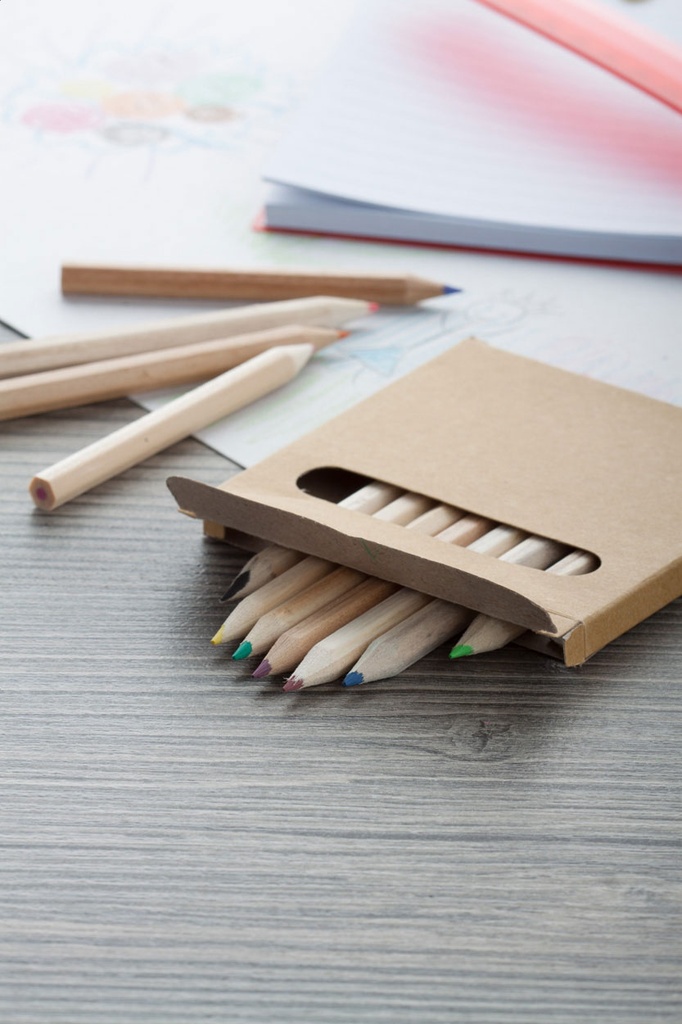 12 kleurpotloden in kartonnen doosje #4
