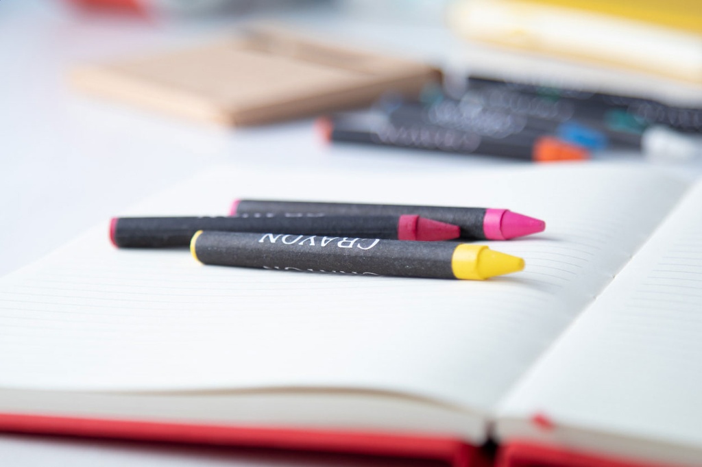 12 waskrijtjes in een kartonnen doosje #6