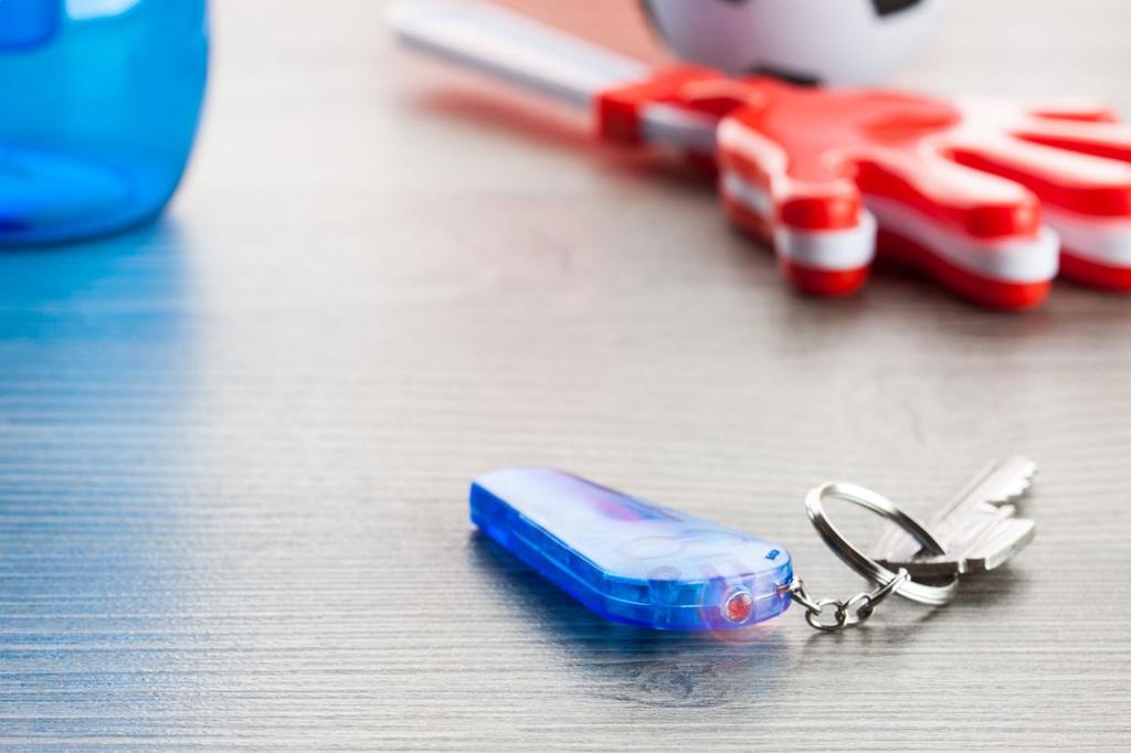 sleutelhanger met fluit #3