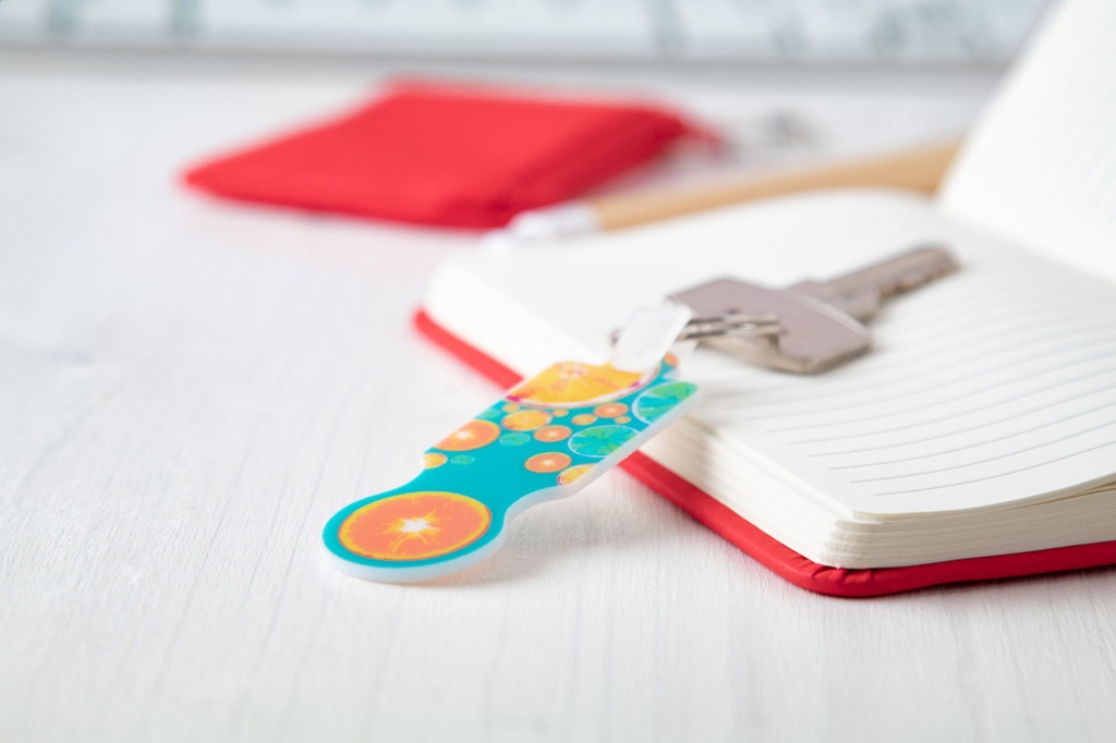 winkelwagenmuntje sleutelhanger #12