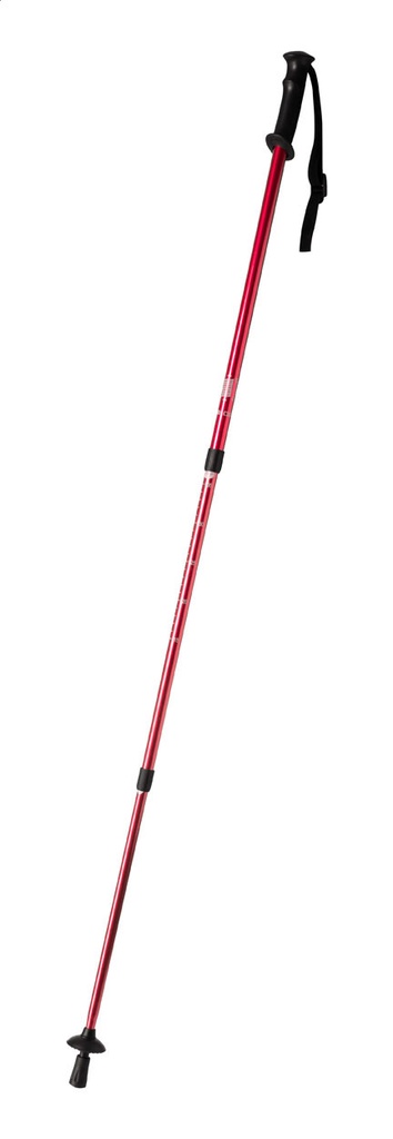 nordic walking sticks #3