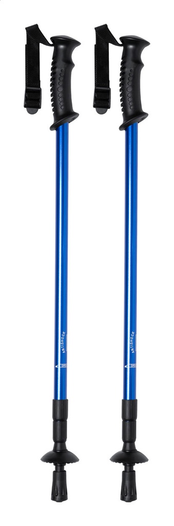 nordic walking sticks #1