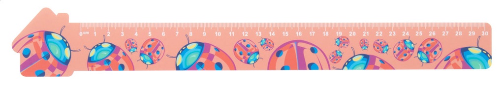 liniaal van 30 cm, huis #3